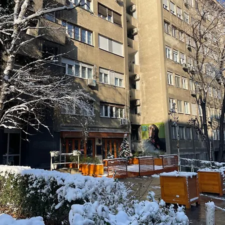 Apartment Mirochka 贝尔格莱德 外观 照片